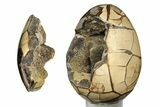 Polished Septarian Dragon Egg Geode ( lbs) #191459-1